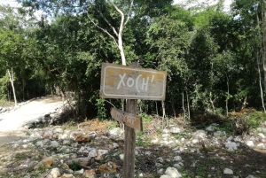 From Merida: Full-Day Cuzama Cenotes tour