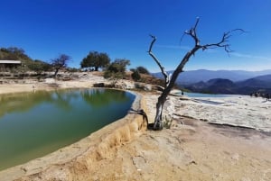 Oaxaca: Tour de día completo guiado por la Ruta de Hierve el Agua