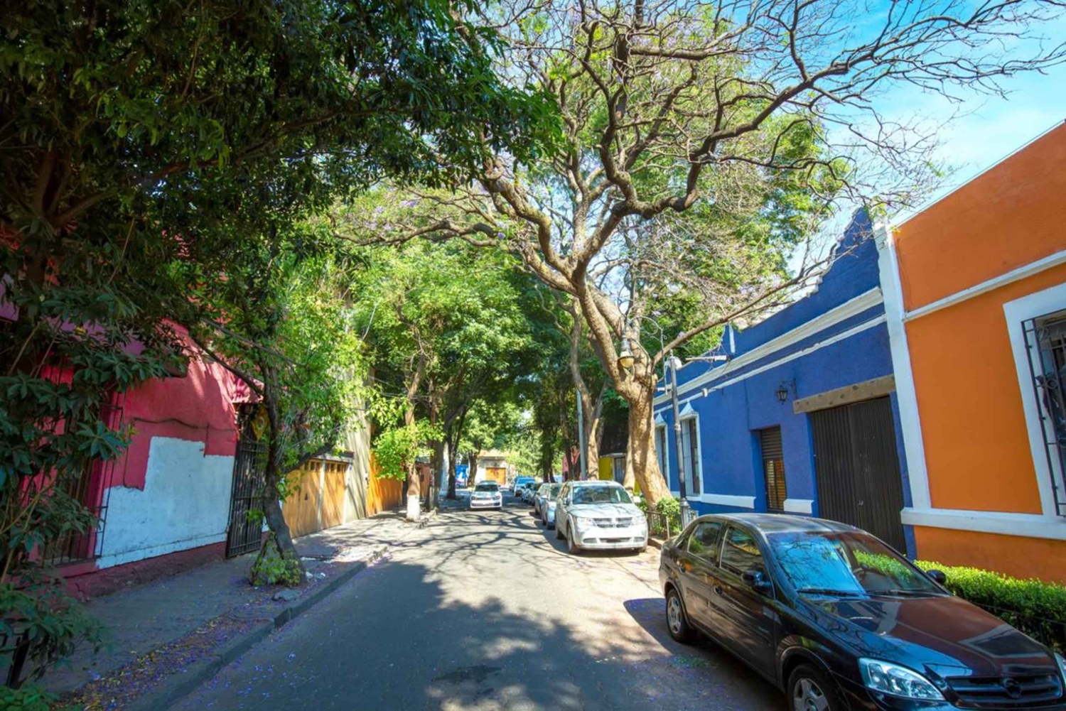 Tour privado de día completo desde la Ciudad de México a Coyoacán