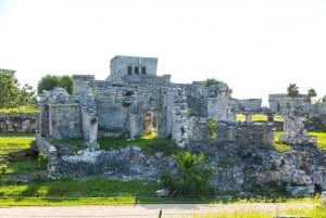 4x1: Tulum y Ruinas de Coba con Cenote y Tortugas Marinas