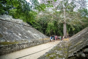 4x1: Tulum y Ruinas de Coba con Cenote y Tortugas Marinas