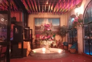 Garibaldi by Night - Mexico City