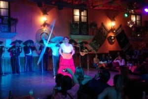 Garibaldi by Night - Mexico City