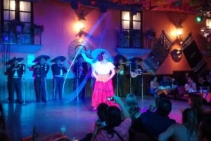 Garibaldi by Night - Mexico City