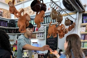 Gastronomic Tour of Coyoacán & Frida Kahlo Museum