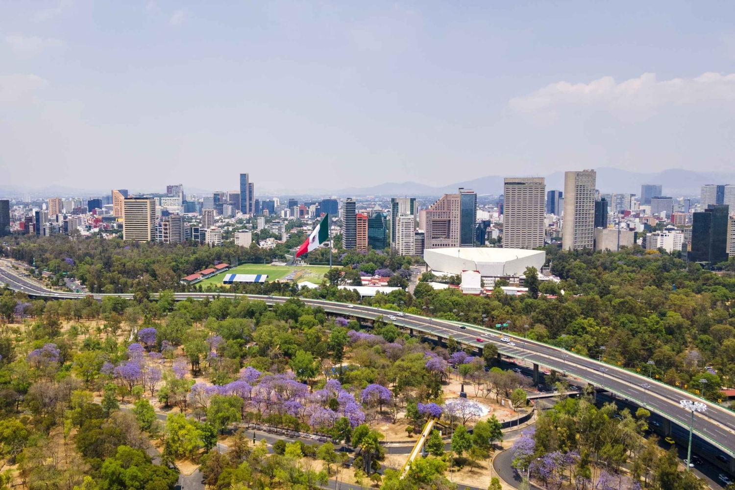 Piérdete por los barrios de CDMX en un tour privado.
