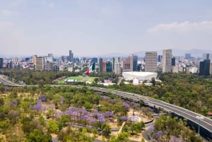 Piérdete por los barrios de CDMX en un tour privado.