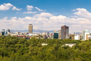 Piérdete por los barrios de CDMX en un tour privado.