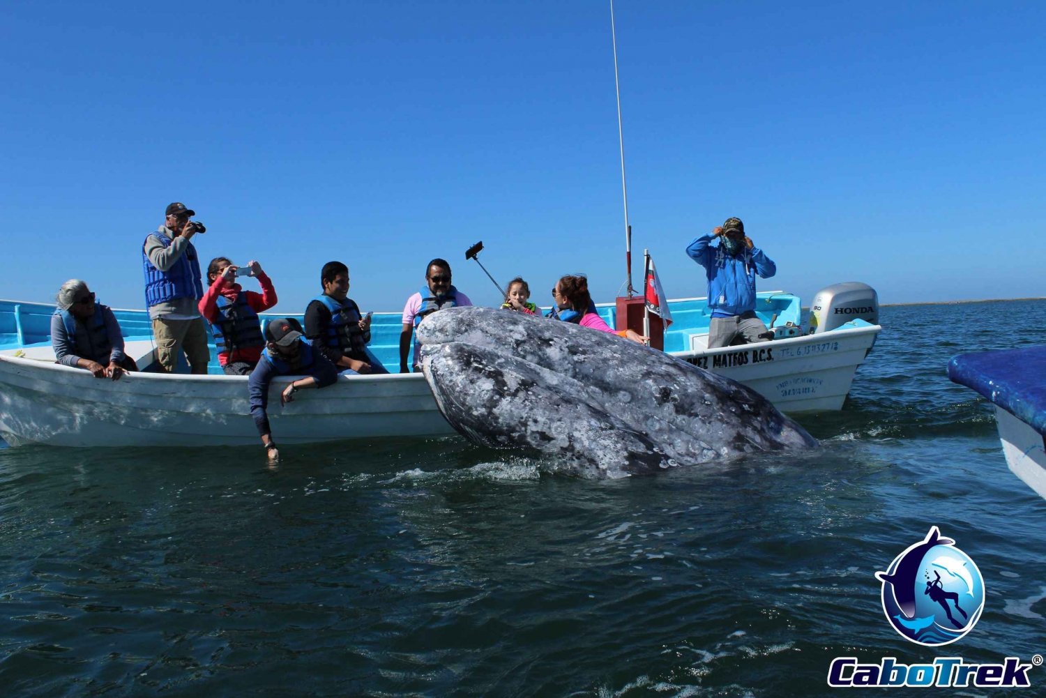 Gray Whale-Watching 2-Day Experience in Magdalena Bay