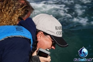 Gray Whale-Watching 2-Day Experience in Magdalena Bay