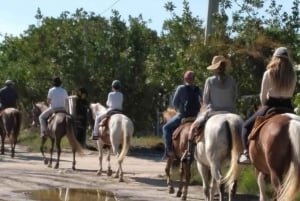 Cabalgata en grupo en la Isla de Holbox, Quintana Roo