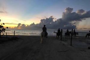 Cabalgata en grupo en la Isla de Holbox, Quintana Roo