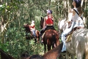 Cabalgata en grupo en la Isla de Holbox, Quintana Roo