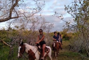 Visita en Grupo a la Isla de Holbox, Quintana Roo