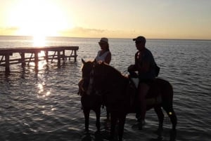 Visita en Grupo a la Isla de Holbox, Quintana Roo