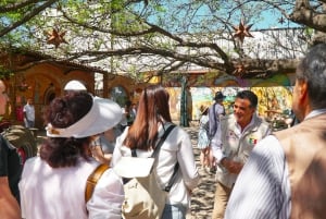 Guadalajara: Tequila Day Trip with Jose Cuervo Option