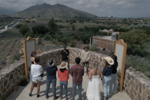 Guadalajara: Tour del Tequila Premium con Catas y Maridajes