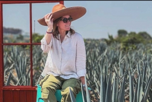 Guadalajara: Tour del Tequila Premium con Catas y Maridajes