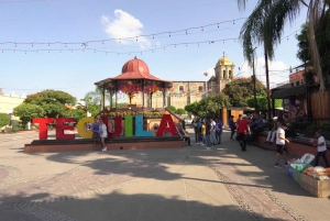 Guadalajara: Tour del Tequila Premium con Catas y Maridajes