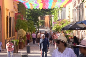 Guadalajara: Tour del Tequila Premium con Catas y Maridajes