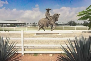 Guadalajara: Excursión de un día al Lago de Chapala y Ajijic con paseo en barco