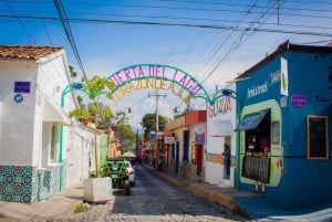 Guadalajara: Excursión de un día al Lago de Chapala y Ajijic con paseo en barco