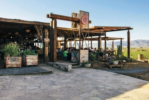 Guadalupe Valley: Complete Wine Route