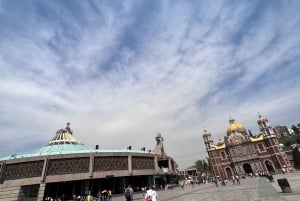 Guadalupe's shrine: 2 hours private tour with transport