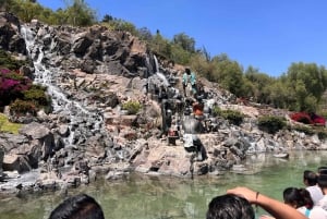 Santuario de Guadalupe: tour privado de 2 horas con transporte