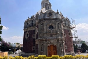 Guadalupe's shrine: 2 hours private tour with transport