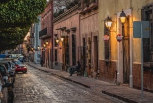 Guanajuato: Private Guided Walking Tour