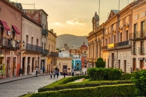 Guanajuato: Private Guided Walking Tour