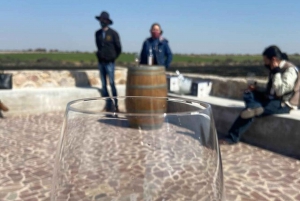 Guanajuato: Private Wine Route Tour with Tastings