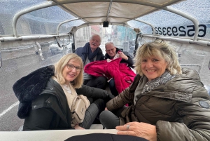 Guided Tour in Tuk Tuk around Madrid