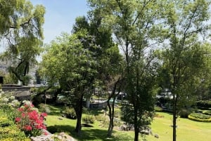 Tour guiado por CDMX: Teotihuacán, Guadalupe y ciudad mexica de Tlatelolco