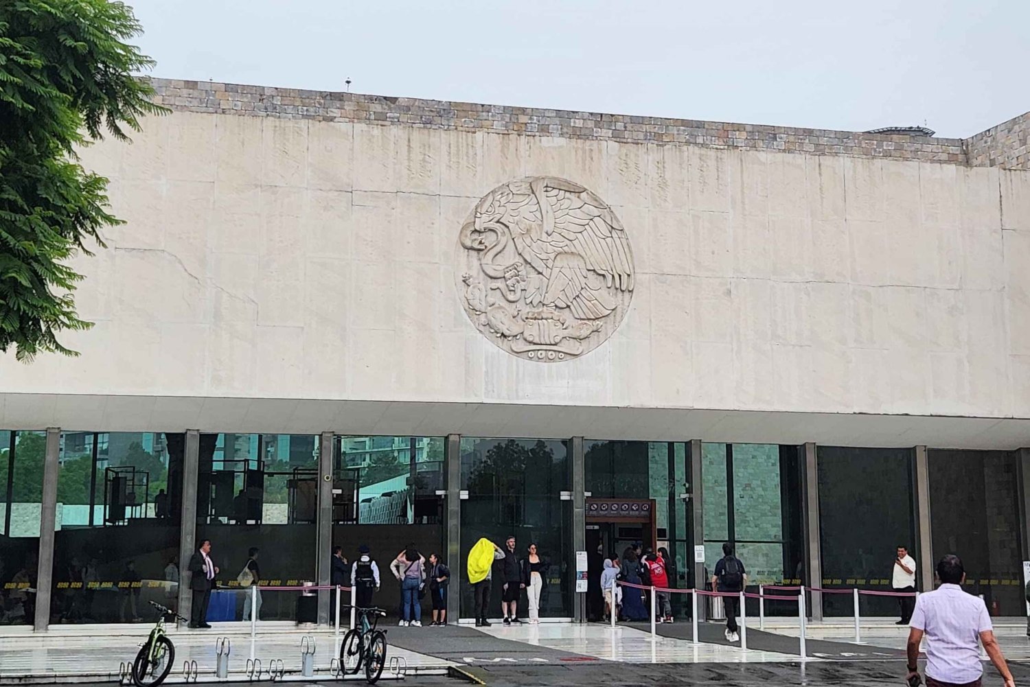 Guided tour of the Museum of Anthropology