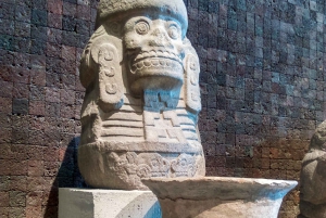 Tour Guiado por el Museo de Antropología