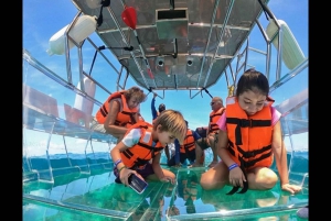 Tour guiado al arco de los cabos en lancha transparente !!