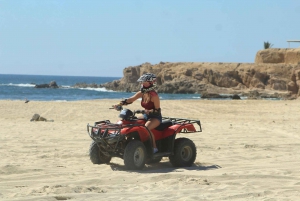 Half-Day Beach & Desert ATV Tour in Cabo San Lucas