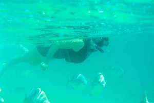 Half Day Guided Snorkel Tour in Los Cabos