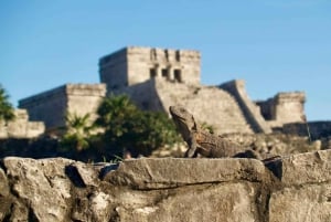 Medio Día Semiprivado Sitio Maya de Tulum y Majestuoso Cenote