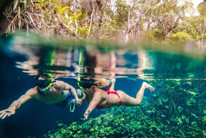 Medio Día Semiprivado Sitio Maya de Tulum y Majestuoso Cenote