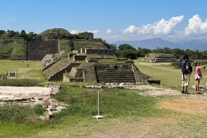 Tour de medio día Monte Albán