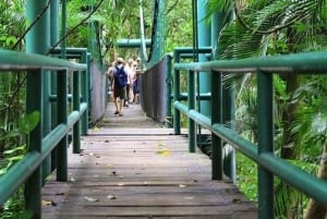 Half-Day Villahermosa Tour with La Venta Museum