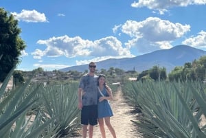 Hierve el Agua y Destilería de Mezcal (Grupos reducidos)