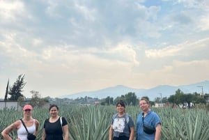 Hierve el Agua y Destilería de Mezcal (Grupos reducidos)