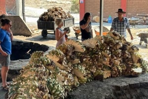 Hierve el Agua y Destilería de Mezcal (Grupos reducidos)