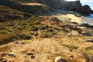 Hiking at the Hidden Arch of Los Cabos