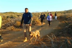 Hiking at the Hidden Arch of Los Cabos