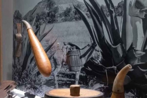 Historical Walking Tour of Mexico City’s Historic Center